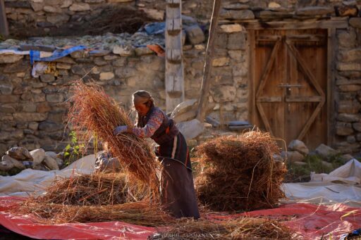 Dolpo woman